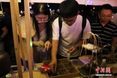 “本草香”融入“烟火气” 江西南昌中医夜市“圈粉”市民